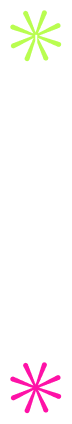 Section divider